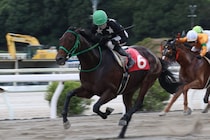 【高知・横浜特別】ブルーシンフォニー、40戦目で鮮やか5勝目…中団から突き抜け快勝