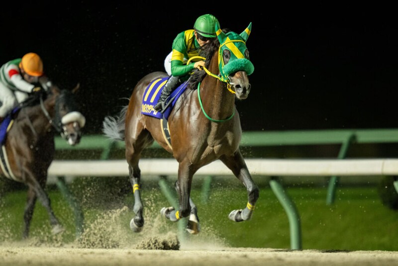 【南部杯】ウィルソンテソーロが突き抜ける…初ダート・シックスペンスは2着