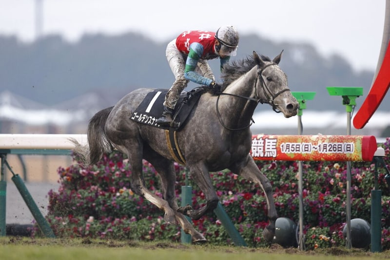 【豪コーフィールドカップ】ゴールデンスナップ上昇ムードで状態は万全