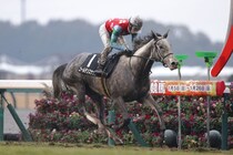 【豪コーフィールドカップ】ゴールデンスナップ、18番枠から豪G1挑戦