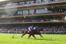 ジャパンカップとチャンピオンズカップに海外から計23頭が予備登録…愛ミニーホークなど