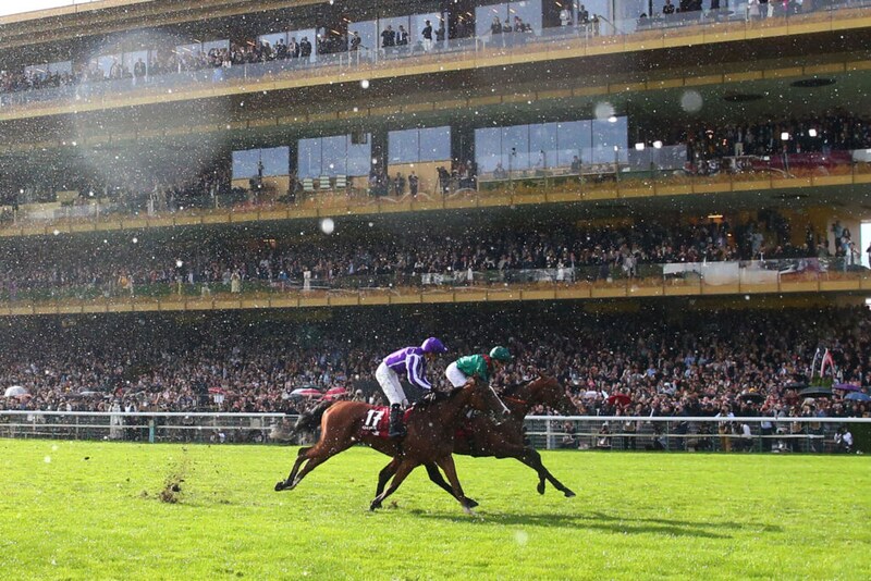 ジャパンカップとチャンピオンズカップに海外から計23頭が予備登録…愛ミニーホークなど