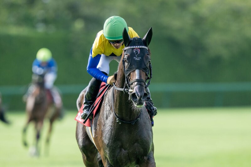 【秋華賞】桜花賞馬＆オークス馬が激突…枠順確定