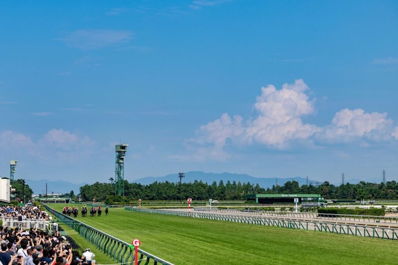 【北陸S】断然人気フリッカージャブが3連勝でオープン入り