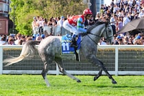 【豪コーフィールドカップ】日本馬ゴールデンスナップは14着…豪女性騎手J.メルハム騎乗、ハーフユアーズがV