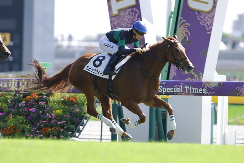 【新馬/東京4R】エピファネイア産駒 エピッククイーンがデビューV