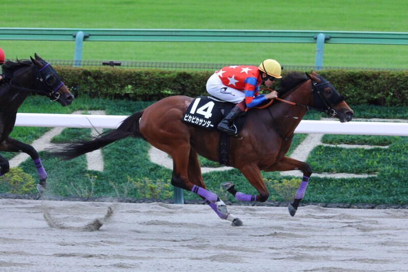 【伊勢佐木S】ピカピカサンダーが4連勝でオープン入り…グロバーテソーロはスタートで落馬