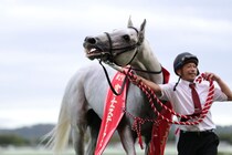 WIN5は1万3431票的中…富士SはガイアフォースがV