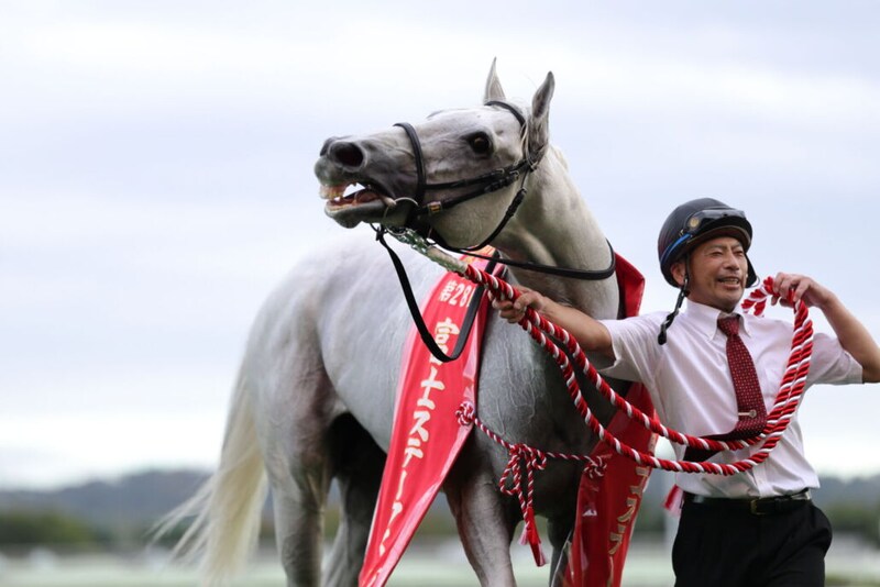 WIN5は1万3431票的中…富士SはガイアフォースがV