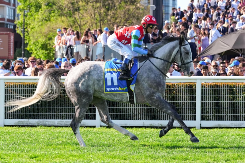 【豪コーフィールドカップ】浜中「馬場もこの馬にはちょっとタフだった」ゴールデンスナップは14着