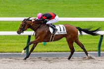 【京都1R】単勝1.4倍フィアーブルが快勝