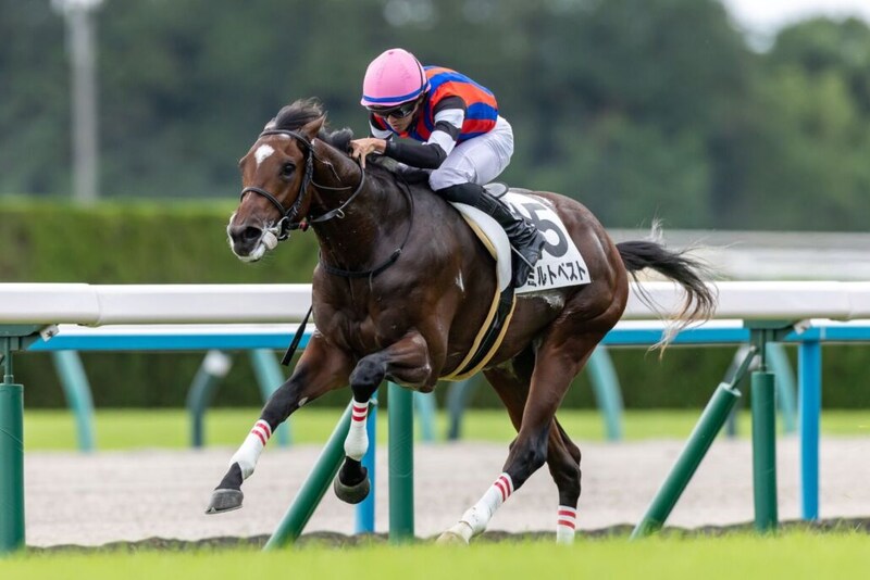 【新馬/京都4R】ファインニードル産駒 ミルトベストがデビューV