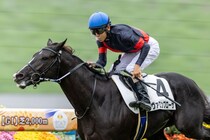 【新馬/京都5R】コントレイル産駒 ヴァロンブローサがデビューV