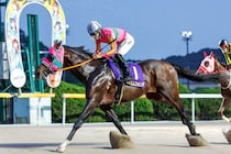 【佐賀オータムスプリント】飛田愛斗＆テイエムフォンテが堂々抜け出しV