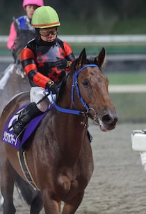 【盛岡・トパーズC】1番人気リケアカプチーノが完勝…山本聡哉「次はもっと走る」