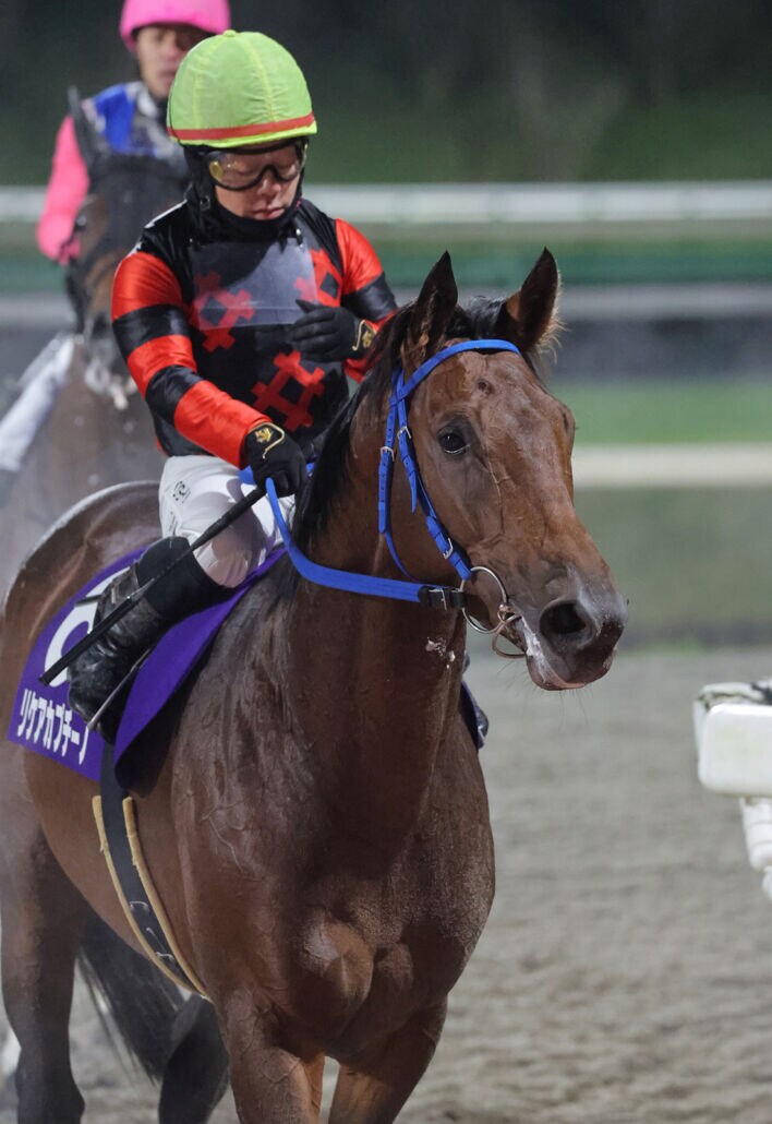 【盛岡・トパーズC】1番人気リケアカプチーノが完勝…山本聡哉「次はもっと走る」