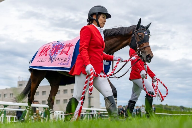 WIN5でJRA史上最高配当を記録…新潟競馬でもワイド最高額更新