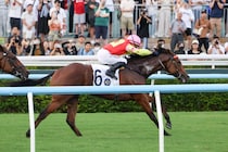 【香港競馬】52kgマイウィッシュが重賞2勝目、ヴォイッジバブルは61kgの影響もあったのか大敗…G2シャティントロフィー