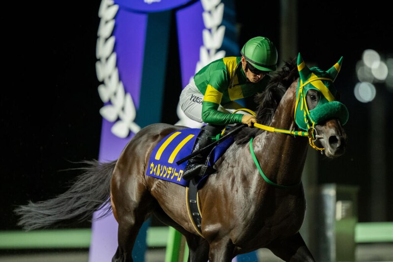 JBC各競走の選定馬が決定…ウィルソンテソーロなど