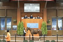 トップバッターはいきなりの2億円超え…ノーザンファームミックスセール2025が開幕！