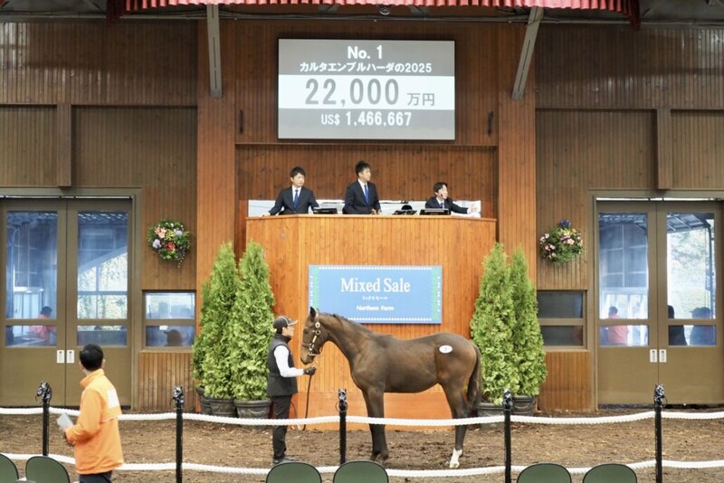 トップバッターはいきなりの2億円超え…ノーザンファームミックスセール2025が開幕！