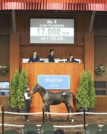 【ミックスセール2025】イクイノックス産駒が1億円超え