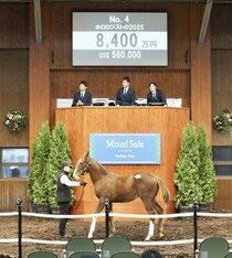 【ミックスセール2025】スワーヴリチャード産駒8400万円が落札される