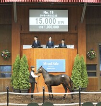【ミックスセール2025】ダービー馬・レイデオロ半弟に1億5000万円の価格