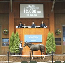 【ミックスセール2025】ゴールドシップ産駒が1億超え！レーヴドゥラプレリの2025