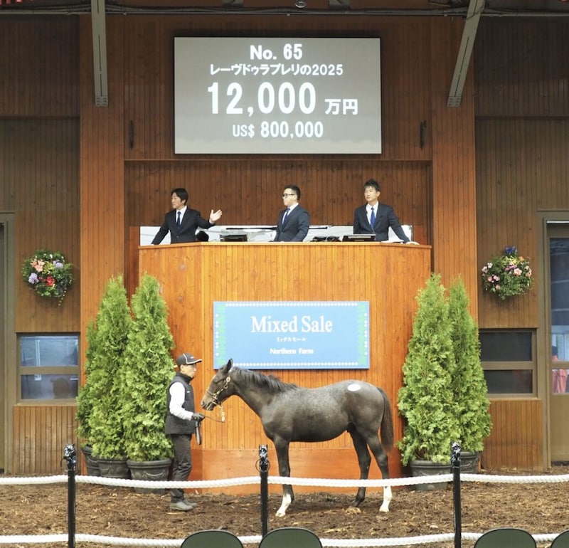 【ミックスセール2025】ゴールドシップ産駒が1億超え！レーヴドゥラプレリの2025