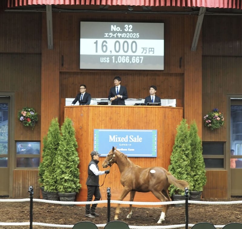 【ミックスセール2025】エピファネイア産駒に1億6000万円