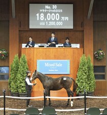 【ミックスセール2025】キタサンブラック産駒良血馬に1億8000万円