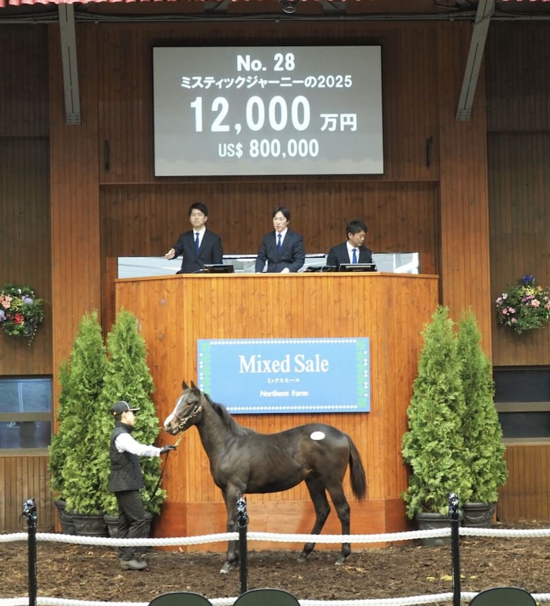 【ミックスセール2025】イクイノックス産駒、最後の上場馬は1億2000万円