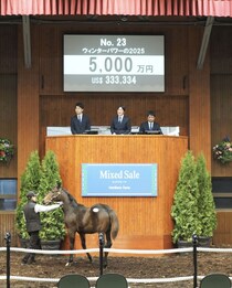 【ミックスセール2025】キズナ産駒の良血馬が5000万円