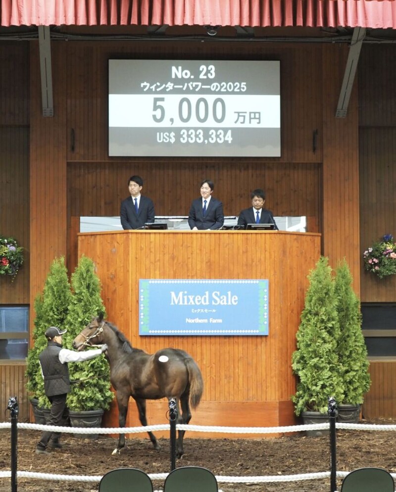 【ミックスセール2025】キズナ産駒の良血馬が5000万円