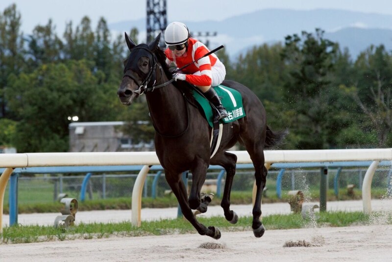 【YJSトライアル金沢】古川奈穂＆橋木太希が勝利！西日本地区ポイント争い激化