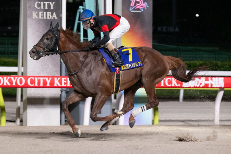 【大井・マイルグランプリ】伏兵ゴールドレガシーが重賞V…矢野貴之騎手、会心の騎乗で勝利に導く