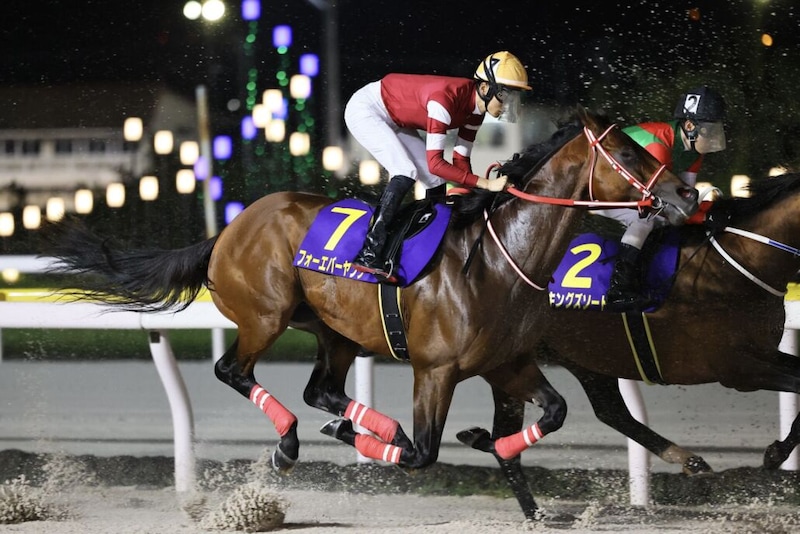 【ブリーダーズカップ2025】JRA所属馬7頭が予備登録…フォーエバーヤング、アリスヴェリテらが名を連ねる