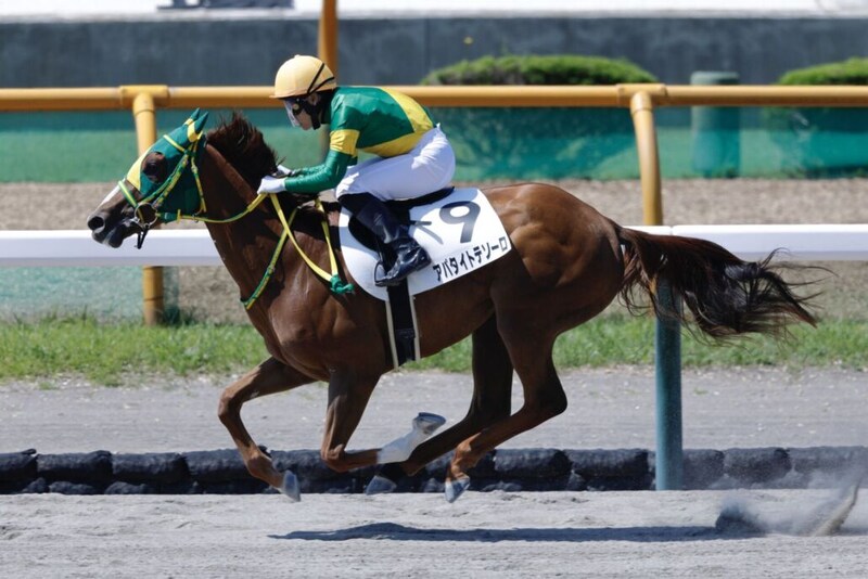 【エーデルワイス賞】JRA勢4頭、地元北海道勢との激突へ…2歳牝馬ダート女王決定戦、出走予定馬発表