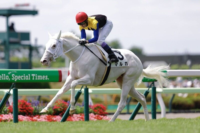武豊騎手 今週の騎乗馬…白毛馬マルガと重賞参戦
