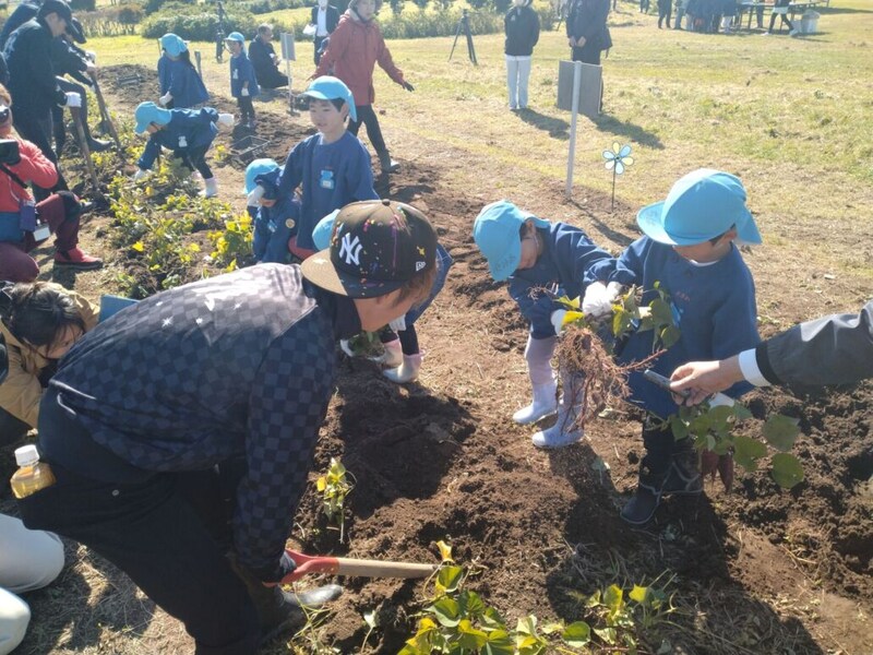 【岩手競馬】水沢競馬場で園児がさつまいも収穫祭…岩手競馬騎手も参加し笑顔の交流