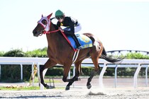 【YJSトライアル笠松】JRA高杉吏麒＆森田誠也がV…西日本地区8名決定