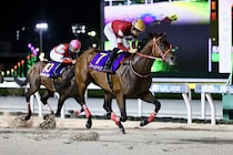 【ブリーダーズカップ2025】フォーエバーヤングら日本馬がデルマー競馬場へ無事到着