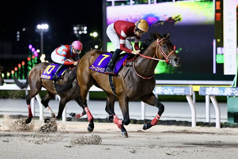 【ブリーダーズカップ2025】フォーエバーヤングら日本馬がデルマー競馬場へ無事到着