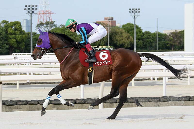 【園田競馬】イグナイター引退式を11月6日に実施