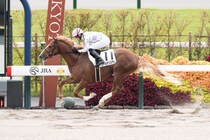 【京都2R】ブリックスアンドモルタル産駒 ゴールデンスラムが3馬身差完勝