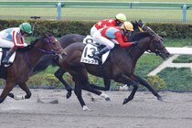 【新馬/東京4R】武豊ジャレッドが断然の支持に応える