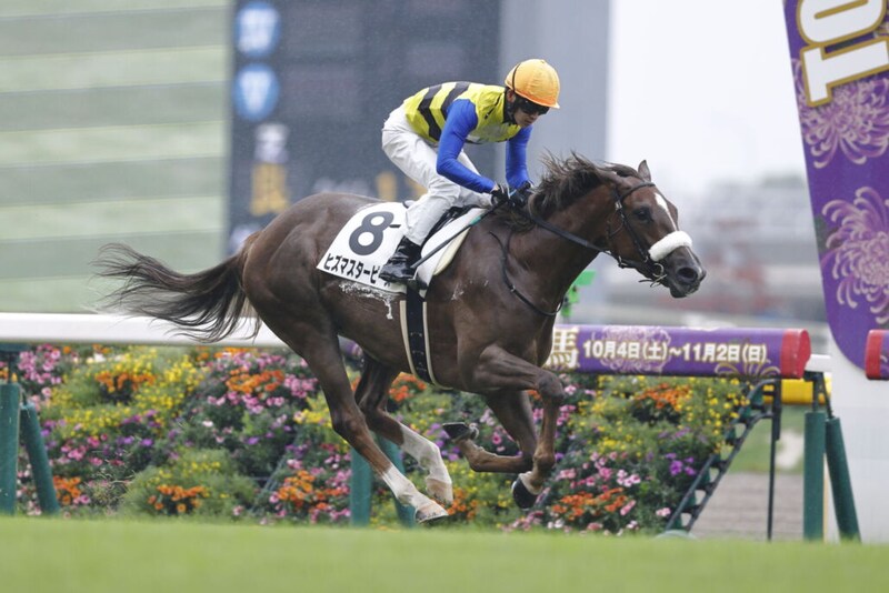 【東京2R】ヒズマスターピースが快勝…単勝1.1倍サンセリテは6着に敗れる