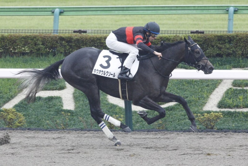 【新馬/東京6R】ホウオウルクソールが抜け出す…断然人気マクリールは2着