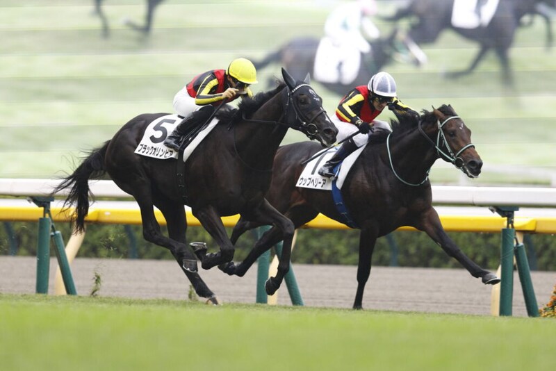 【新馬/東京5R】ウップヘリーア混戦を制する…サンデーサラブレッドのワンツー